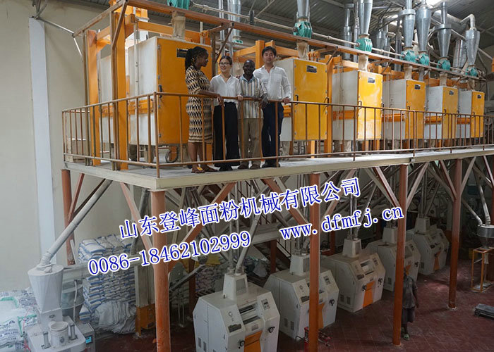 6FMFQ-62T 玉米粉加工設(shè)備